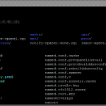 The Linux File System Directory Structure