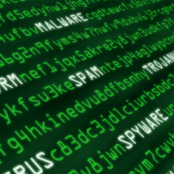 Linux Malware Server Security